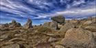 Rams Head Range - Kosciuszko NP - NSW SQ (PBH4 00 10687)